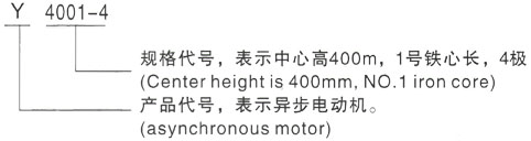 西安泰富西玛Y系列(H355-1000)高压YE2-100L-2三相异步电机型号说明