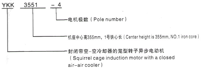 YKK系列(H355-1000)高压YE2-100L-2三相异步电机西安泰富西玛电机型号说明